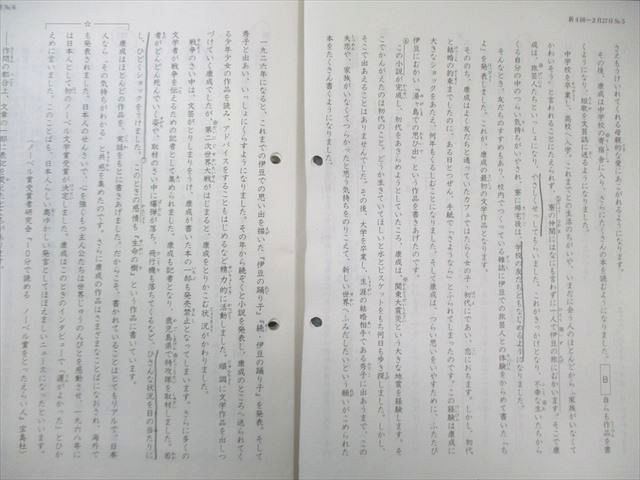 日能研 小4 全国公開模試/学習力育成テスト ステージII/IIIなど 国/算