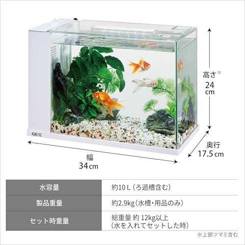 ジェックス GEX アワーズホワイト アクアリウム用インテリア水槽 誰