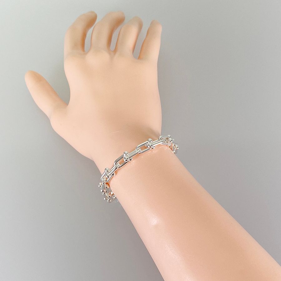 ティファニー TIFFANY&Co. ハードウェア スモール リンク Sv925 