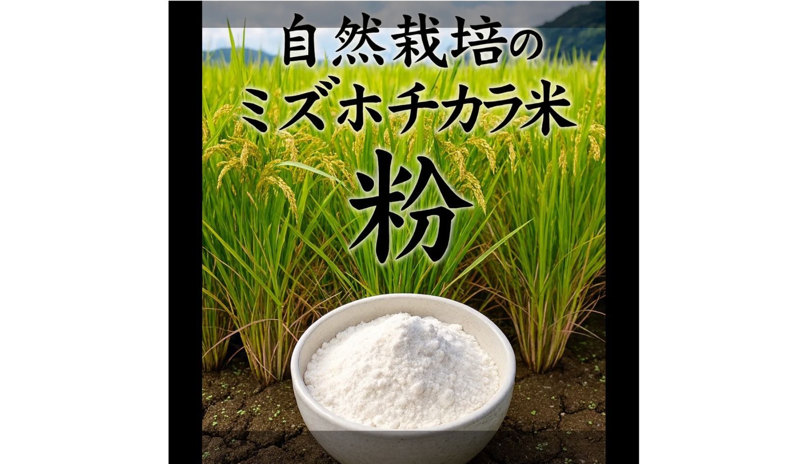 自然栽培】ミズホチカラ 米粉 20kg - メルカリ