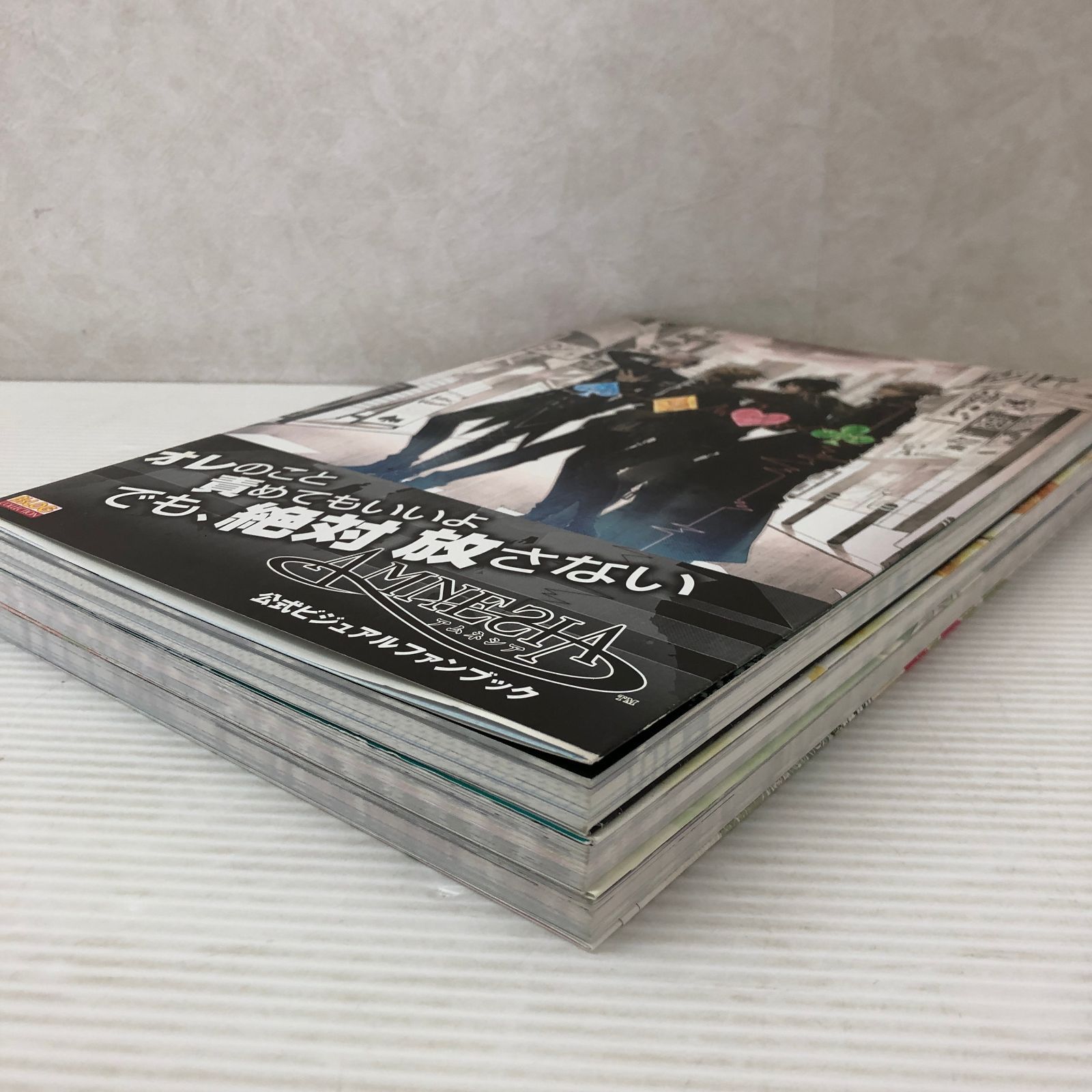 アムネシア 公式ビジュアルファンブック 3冊セット 中古品 