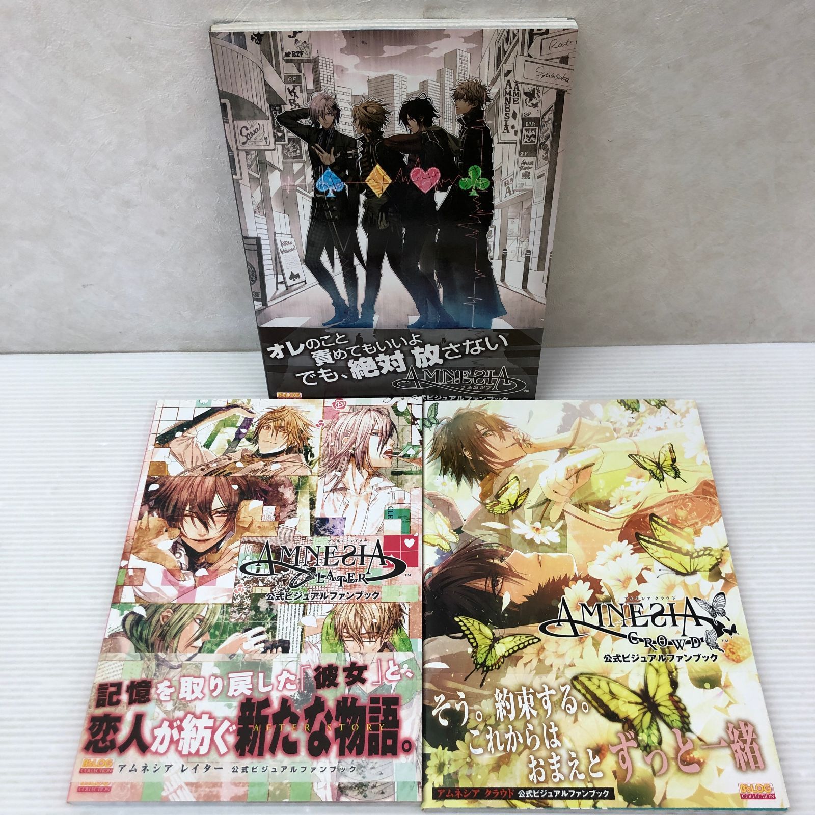 AMNESIA アムネシア 公式ビジュアルファンブック 3冊セット AMNESIA アムネシア 公式ビジュアルファンブック 3冊セット | ヤマダ