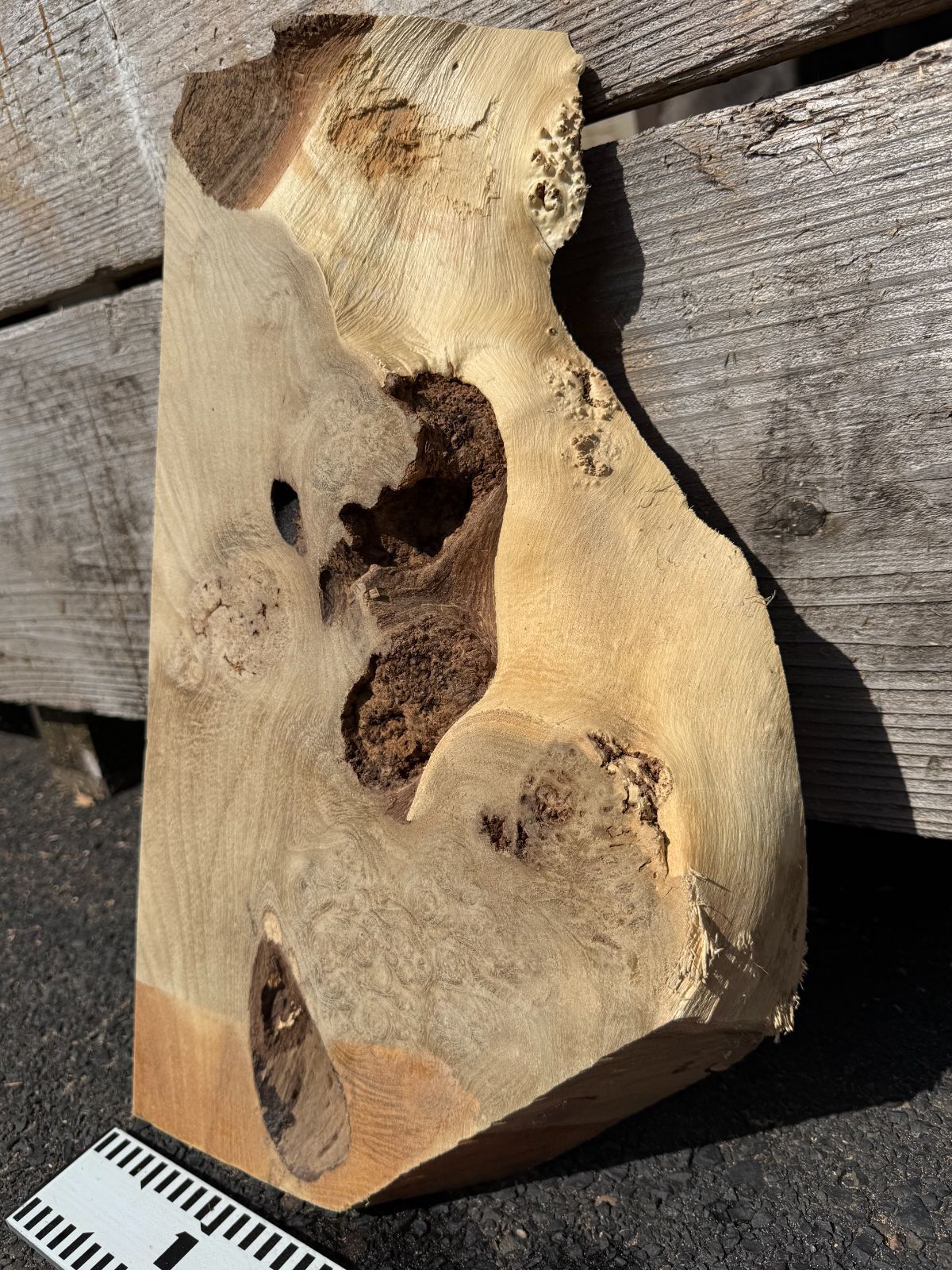 ニセアカシア 瘤材 銘木 無垢材 一枚板 ウッドプレート 花台 - メルカリ