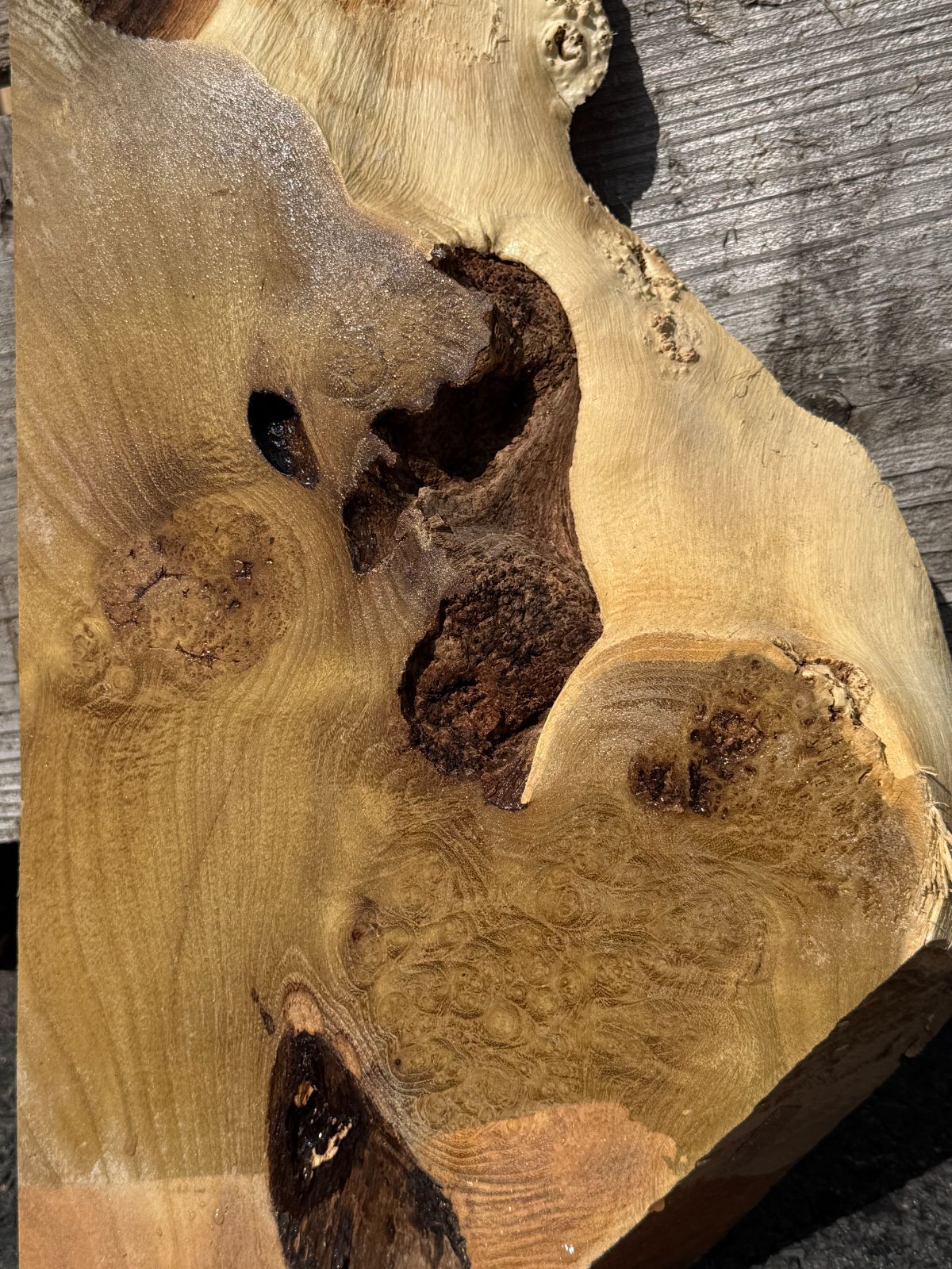 ニセアカシア 瘤材 銘木 無垢材 一枚板 ウッドプレート 花台 - メルカリ