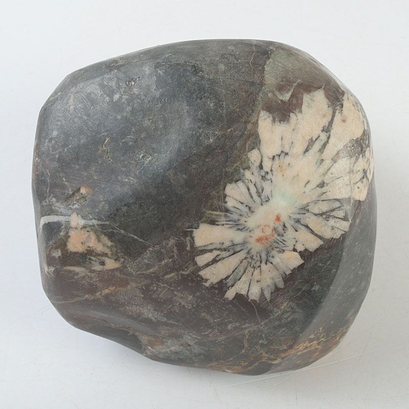 鑑賞石 天然石 菊花石 置物 重さ約2506g V S738 - メルカリ