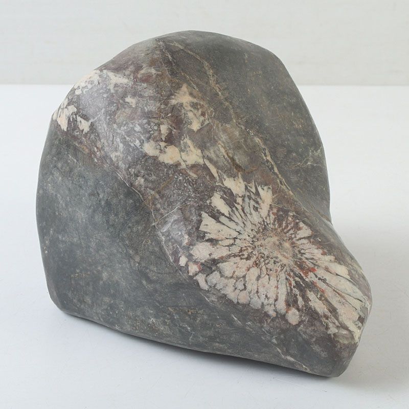 鑑賞石 天然石 菊花石 置物 重さ約2506g V S738 - メルカリ