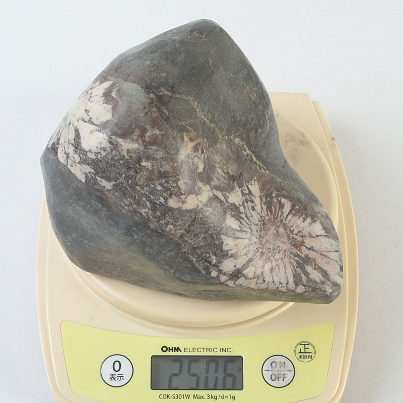 鑑賞石 天然石 菊花石 置物 重さ約2506g V S738 - メルカリ