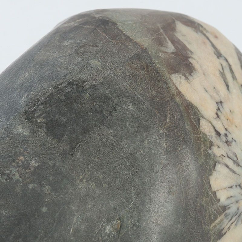 鑑賞石 天然石 菊花石 置物 重さ約2506g V S738 - メルカリ