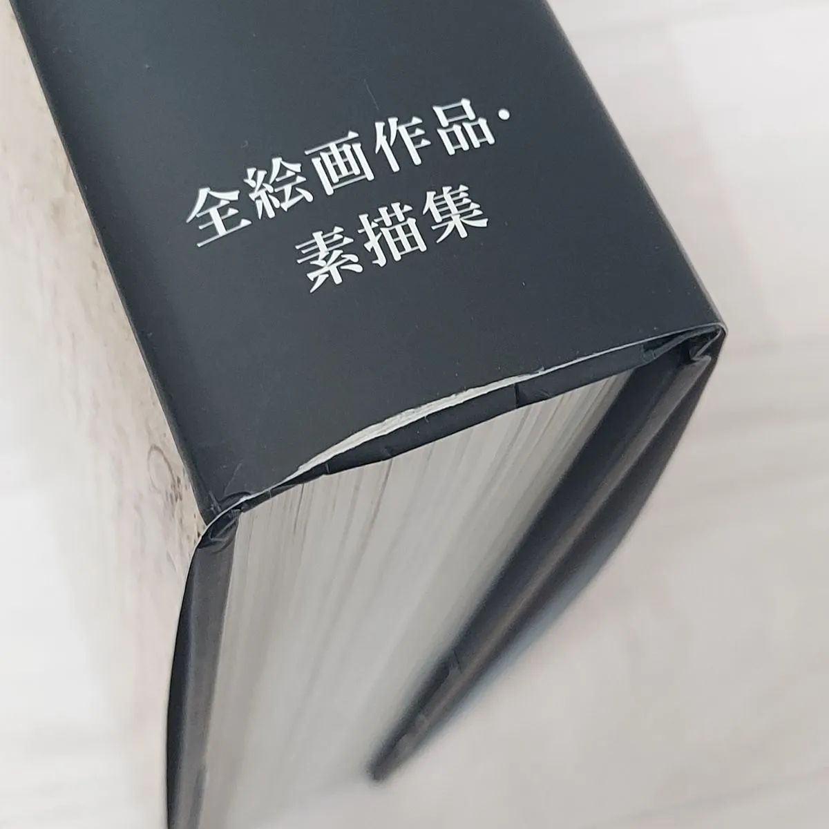 レオナルド・ダ・ヴィンチ 全絵画作品・素描集 カバー付き TASCHEN