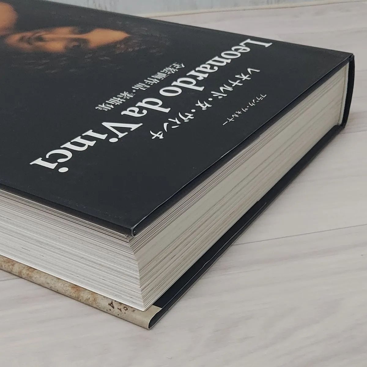 レオナルド・ダ・ヴィンチ 全絵画作品・素描集 カバー付き TASCHEN