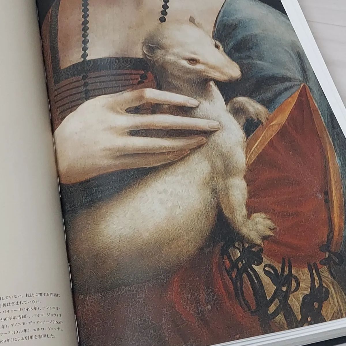 レオナルド・ダ・ヴィンチ 全絵画作品・素描集 カバー付き TASCHEN