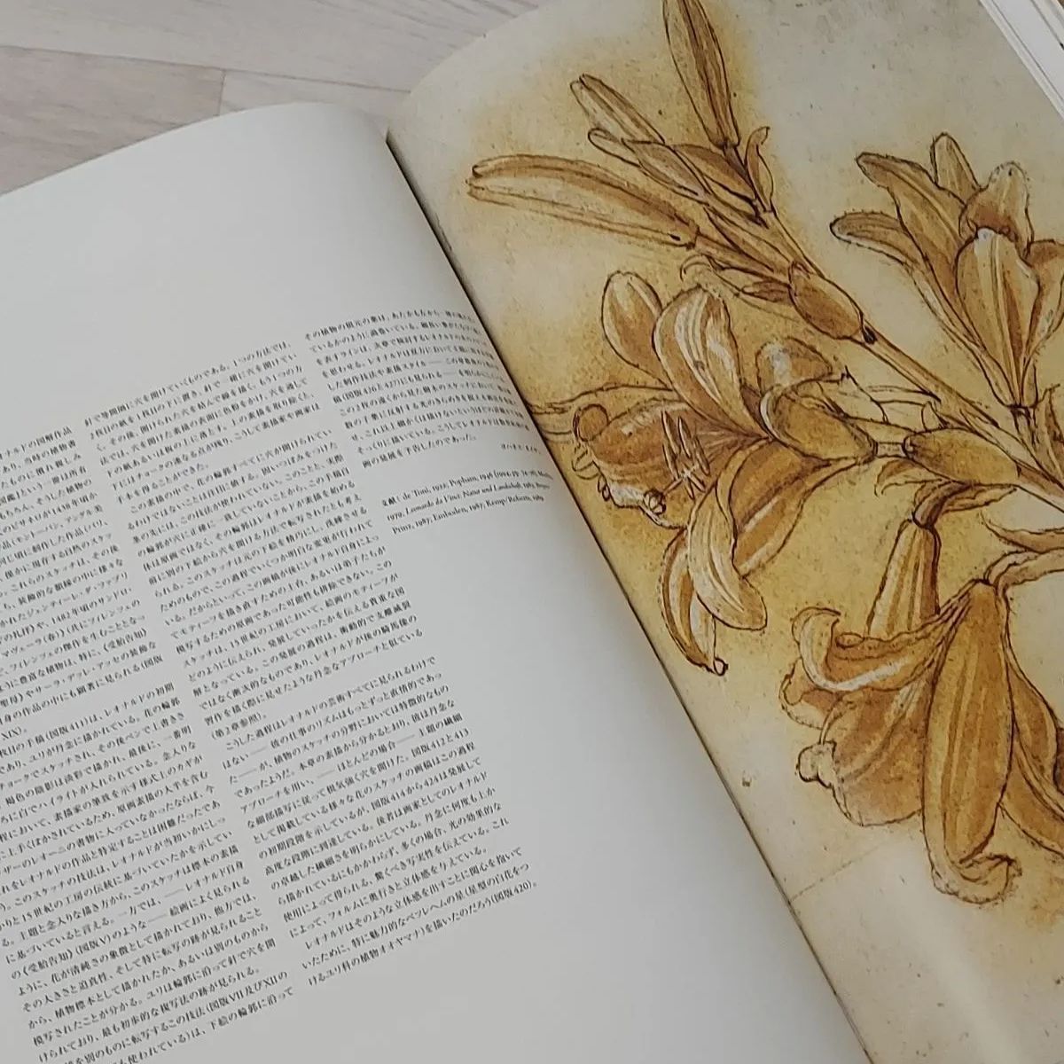 レオナルド・ダ・ヴィンチ 全絵画作品・素描集 カバー付き TASCHEN