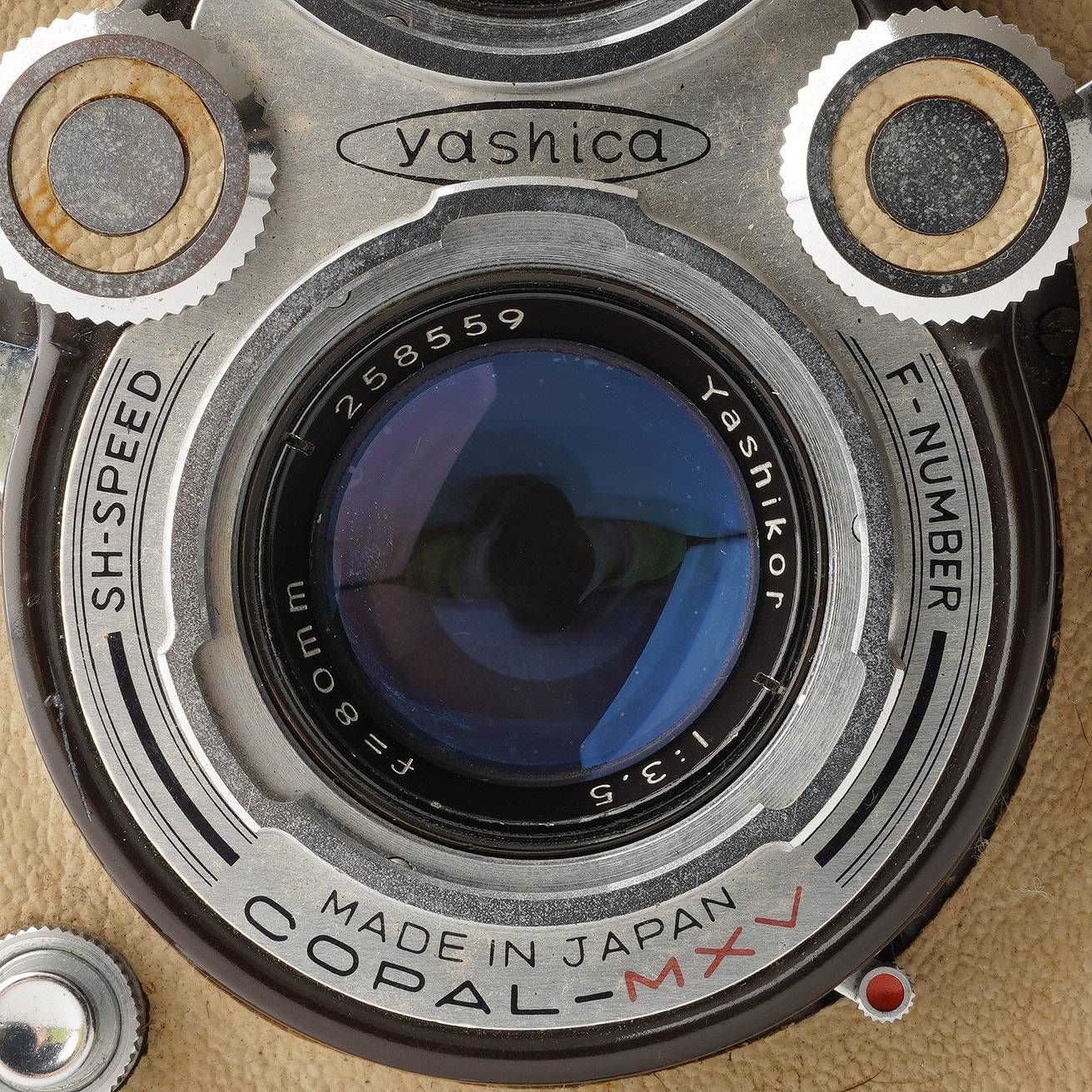 ヤシカ Yashica-D ブラウン ベージュ / Yashinon 80mm F3.5 - メルカリ