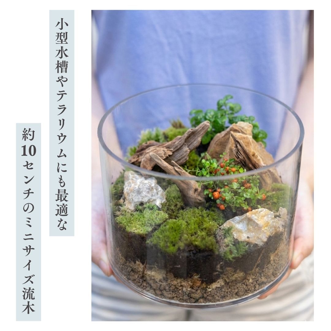 ミニ流木オマケ付き】煮込み済み あく抜き済み 流木 1本 約10cm【形状