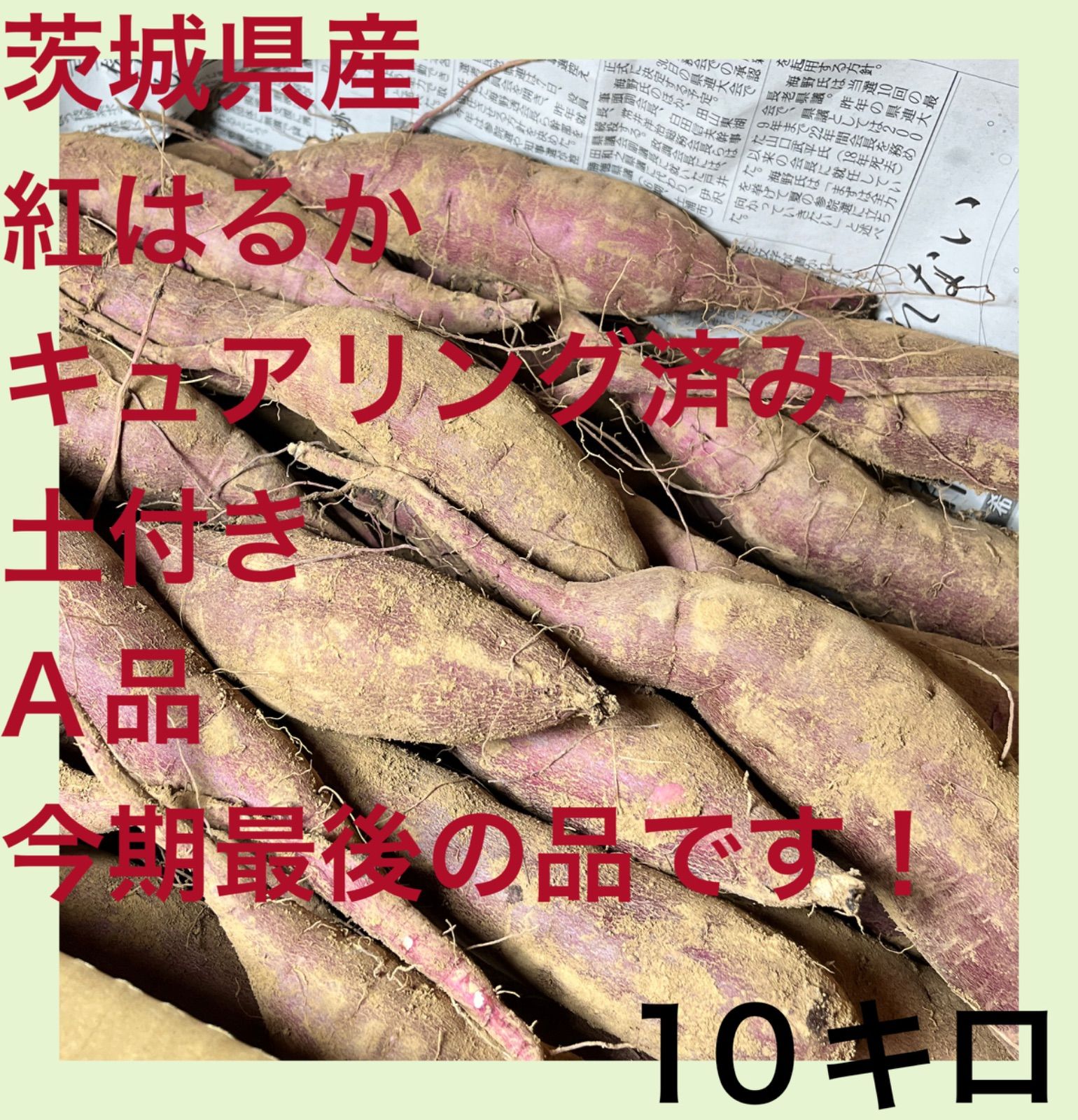 茨城県産 紅はるか 10kg A品＊新品 - メルカリ