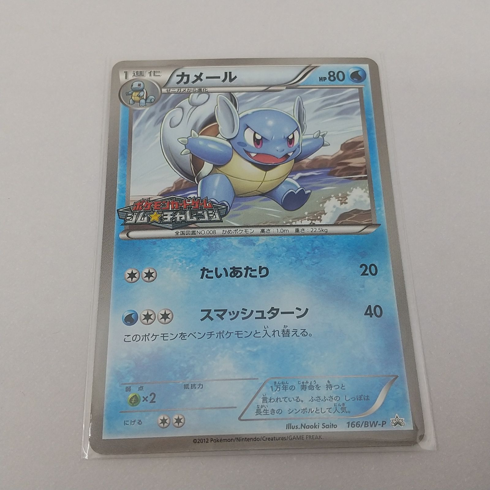 ポケカ カメール プロモ[P] 166/BW-P ポケモンカード トレカ