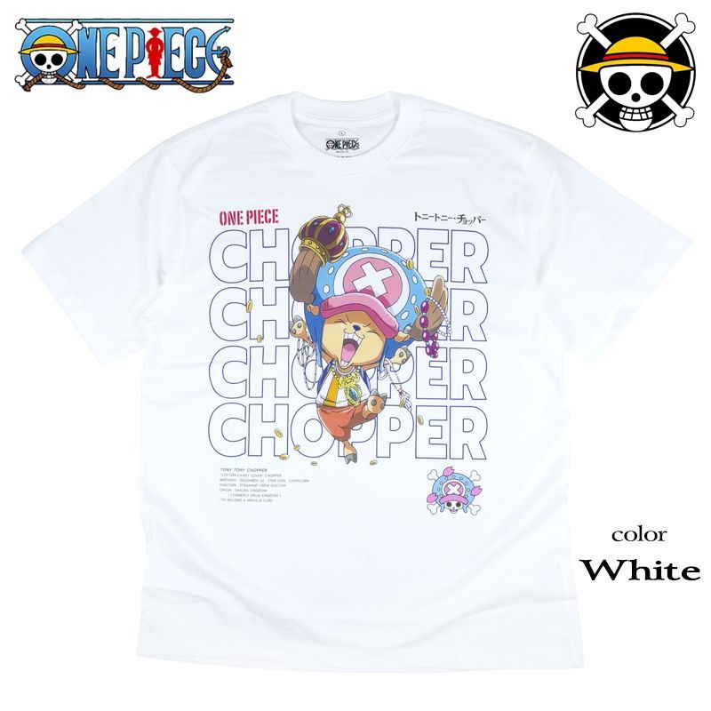 ONEPIECE ワンピースTシャツ 日本未発売インポート商品 onepiece 半袖