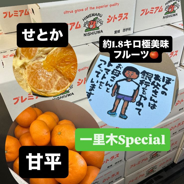 激ヤバ】せとか・甘平・高知トマトセット - メルカリ