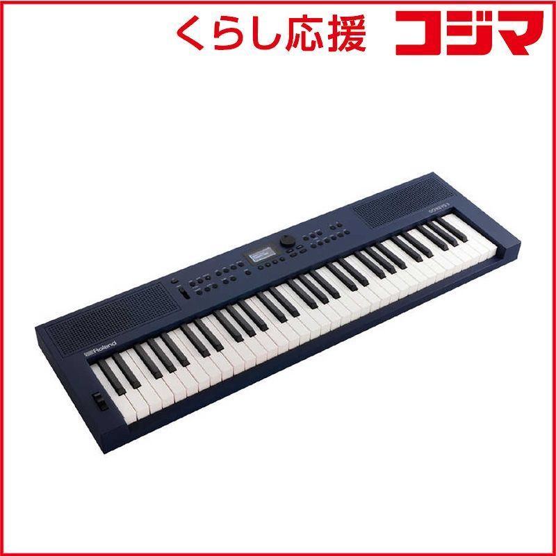 新品 未開封 】 ローランド Roland GOKEYS3 電子キーボード ［61鍵盤