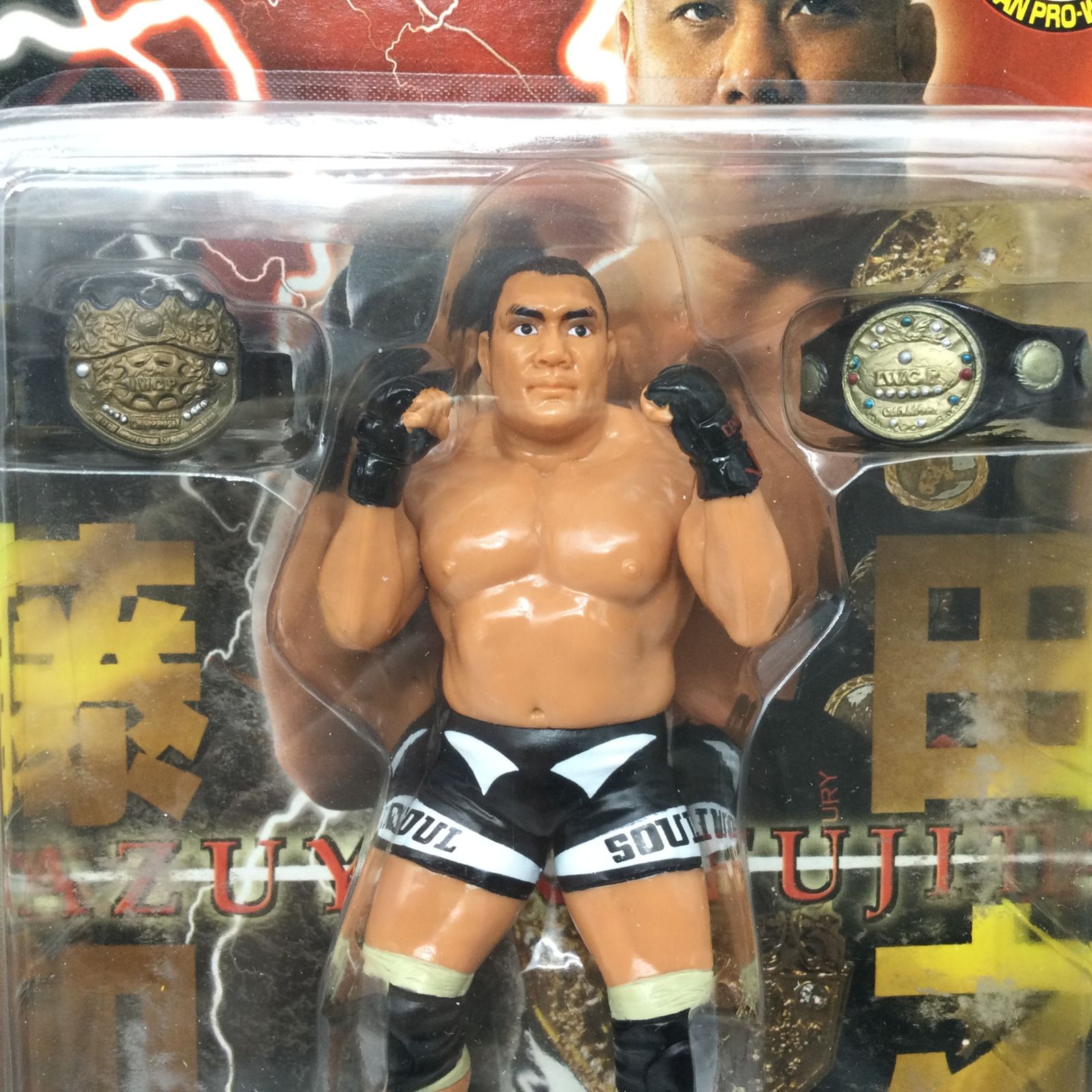 3006 【未開封】藤田和之 フィギュア キャラプロ Deluxe FIGURE