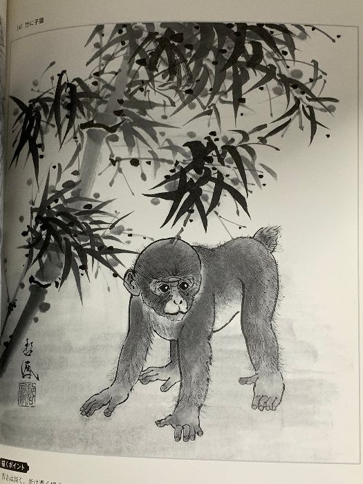 図録 猿の絵入門 色紙から年賀状まで 2003 日貿出版社 - メルカリ