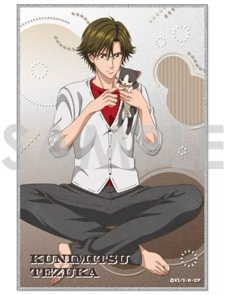 中古】紙製品 2.手塚国光 アクリル色紙 ～くつろぎタイム～ 「新テニス