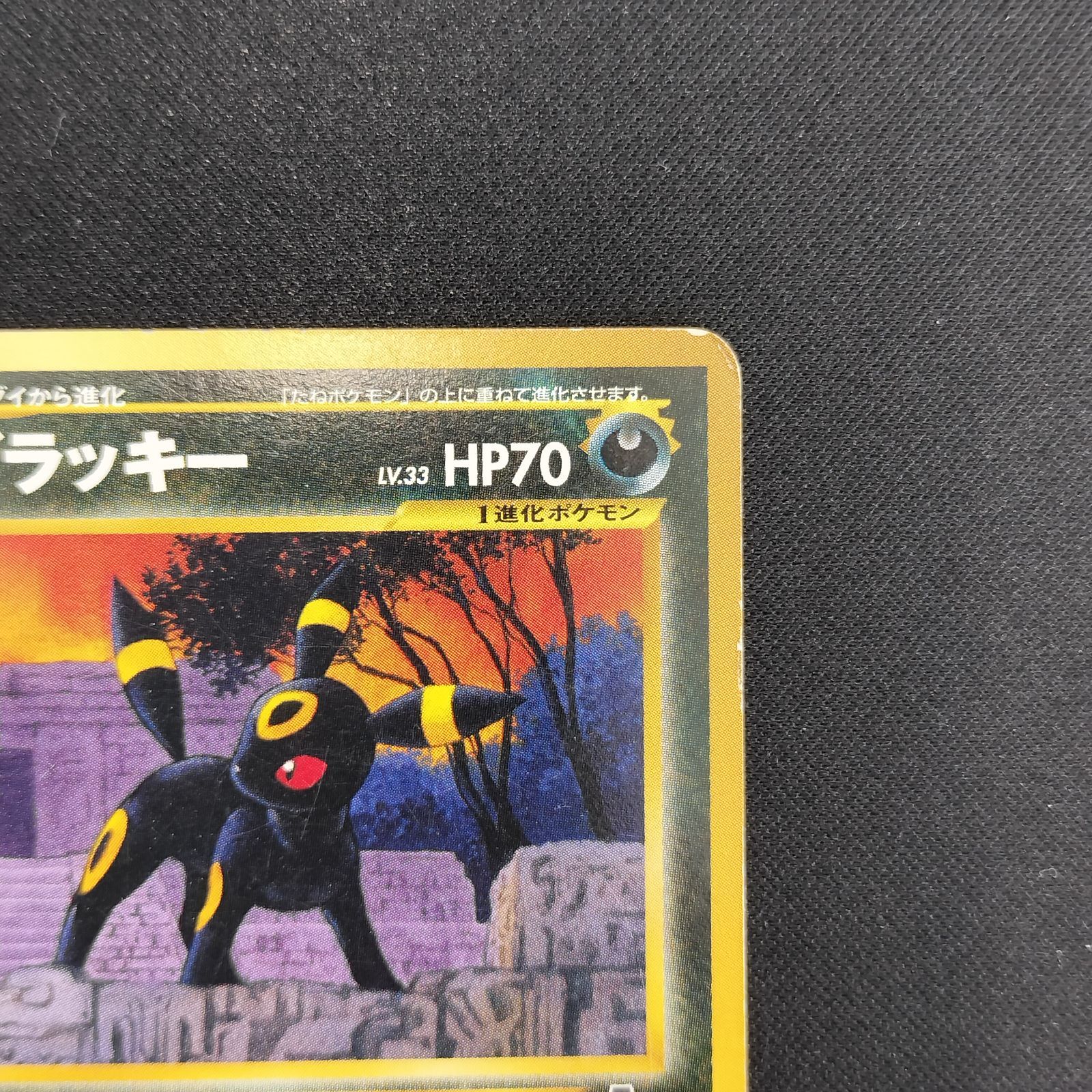 状態B ブラッキー 旧裏 プレミアムファイル ネオ neo - メルカリ