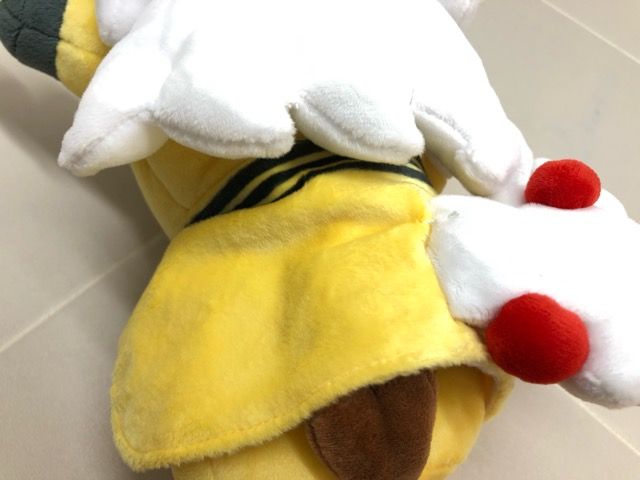 ポケモン メガデンリュウのポンチョを着たピカチュウ ポケモンセンター