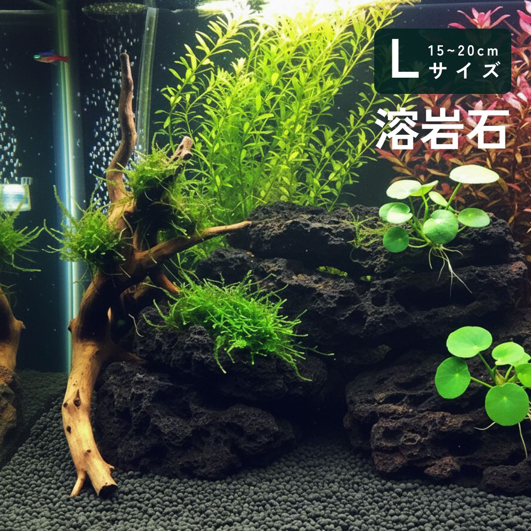 溶岩石 Lサイズ 1本 約15～20cm【形状お任せ 高多孔質】アクアリウム