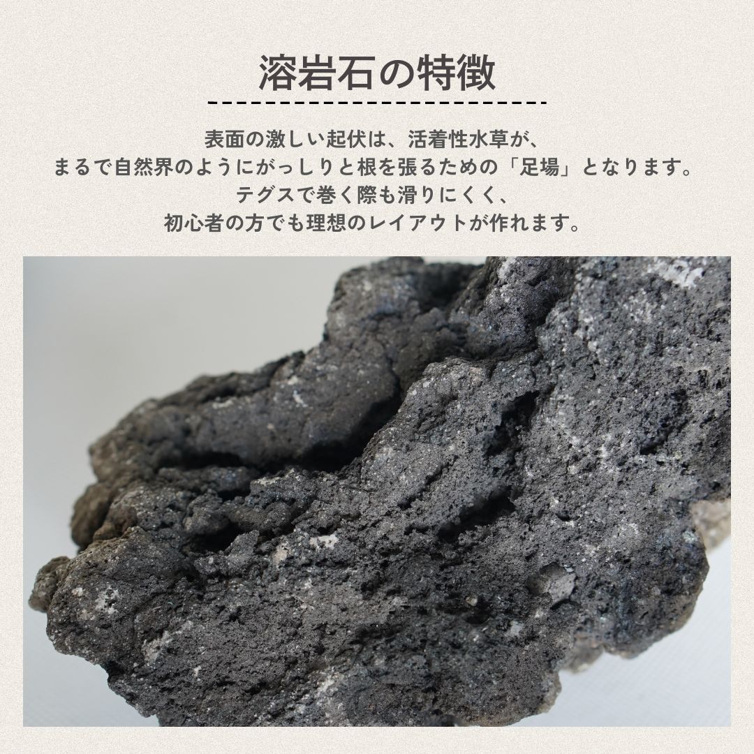 溶岩石 Lサイズ 1本 約15～20cm【形状お任せ 高多孔質】アクアリウム