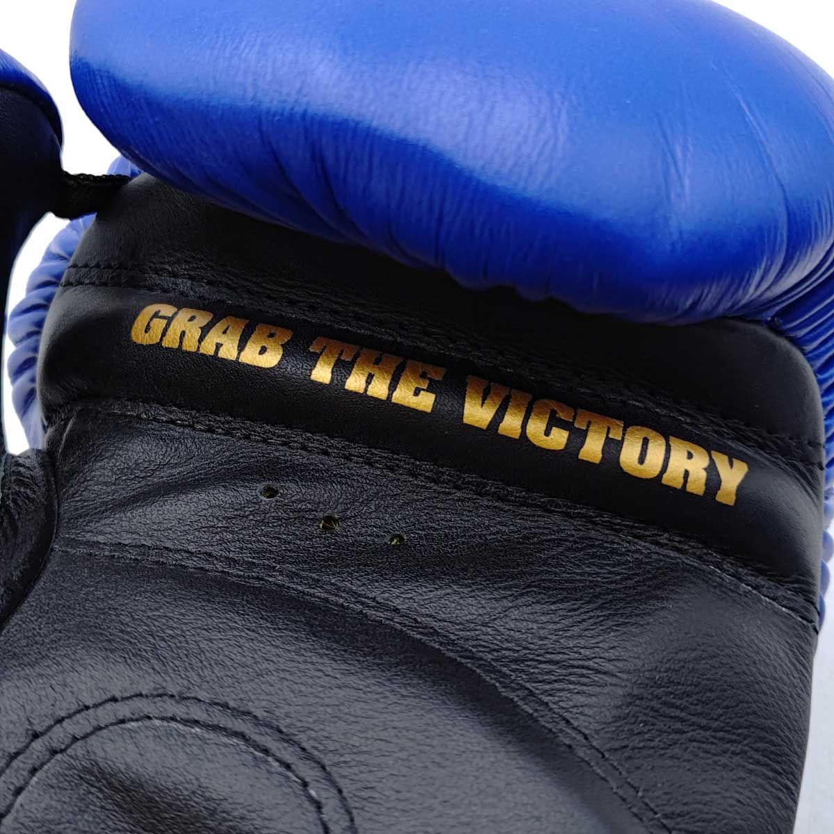 ボディメーカー ボクシンググローブ 14oz SPG SAMURAI EDGE ブルー