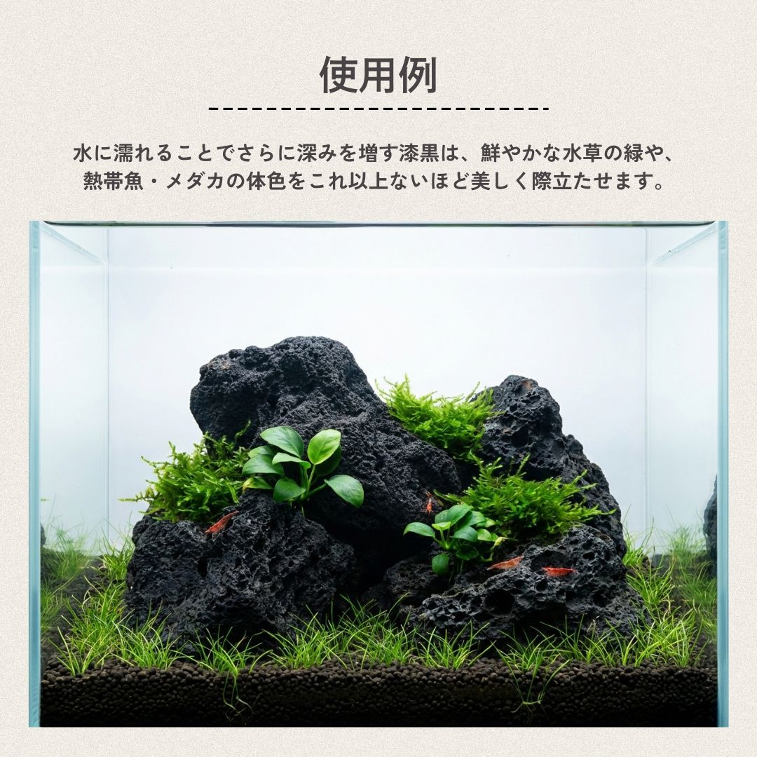 溶岩石 《MサイズLサイズ 2個セット》 【形状お任せ 高多孔質