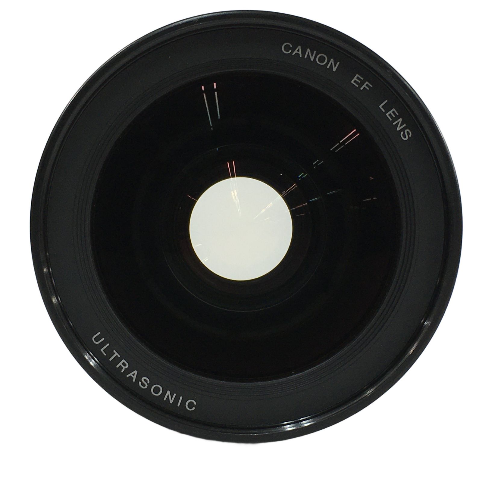 Canon キヤノン EF 28-70mm F2.8 L USM 大口径 標準ズームレンズ 撮影