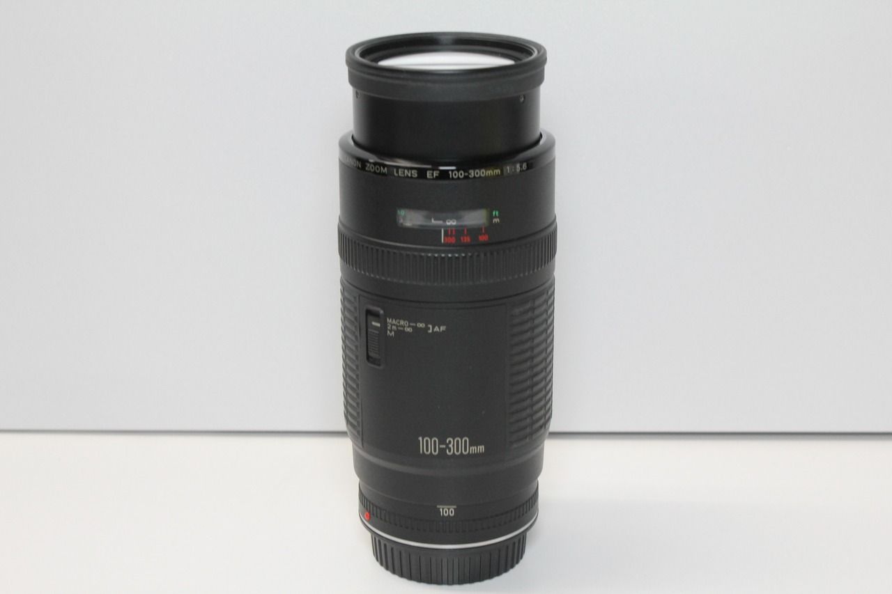 Canon/EF100-300mm F5.6/望遠ズームレンズ ⑥ - メルカリ