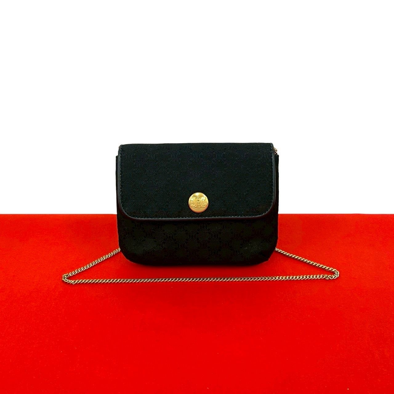 極 美品 希少品 CELINE セリーヌ トリオンフ ロゴ 金具 キャンバス