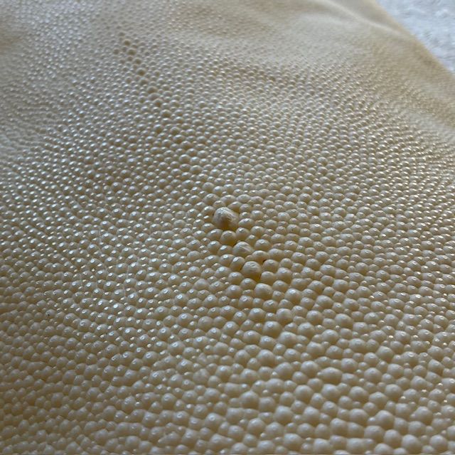 刀剣用 鮫皮 エイ革 11-3 - メルカリ