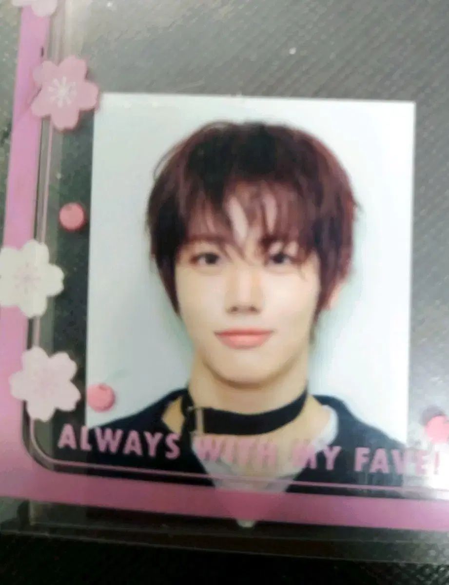 アホフ 歌謡大祝祭 ウンギ 証明写真 チャ・ウンギ 公開番組 サノク