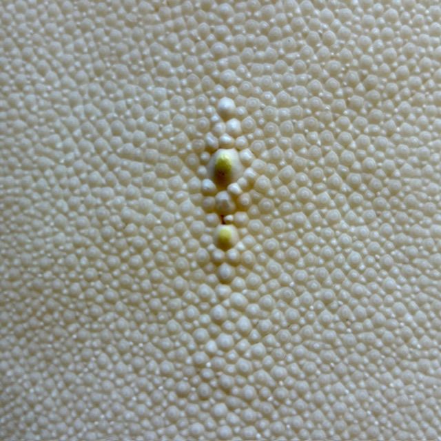 刀剣用 鮫皮 エイ革 11-4 - メルカリ