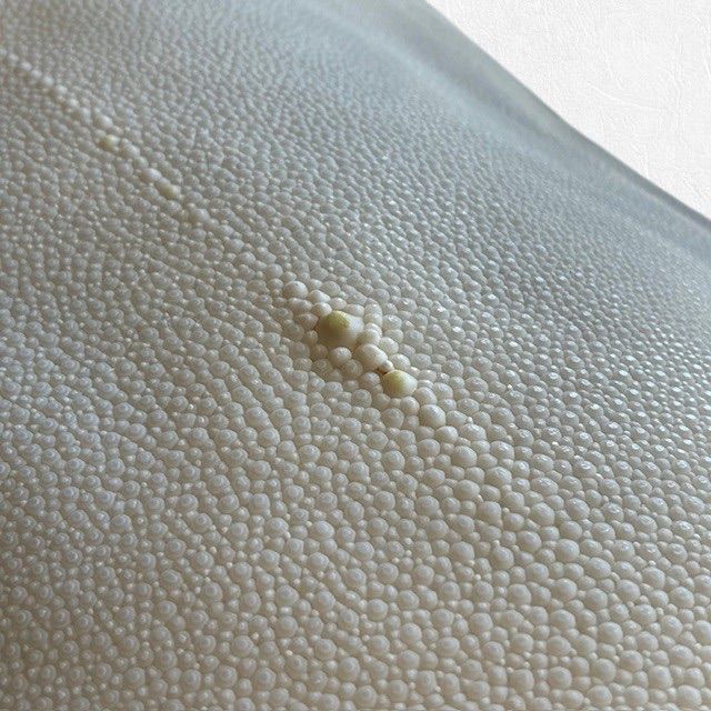 刀剣用 鮫皮 エイ革 11-4 - メルカリ