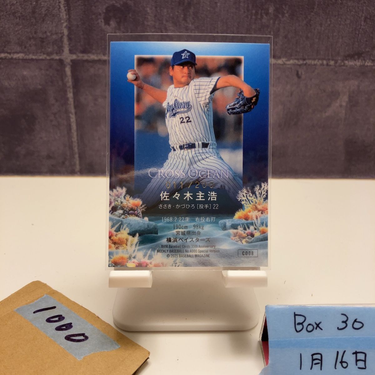 2025 BBM 佐々木主浩 011/200 金箔サイン 横浜ベイスターズ Cross