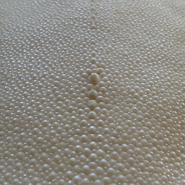 刀剣用 鮫皮 エイ革 11-5 - メルカリ