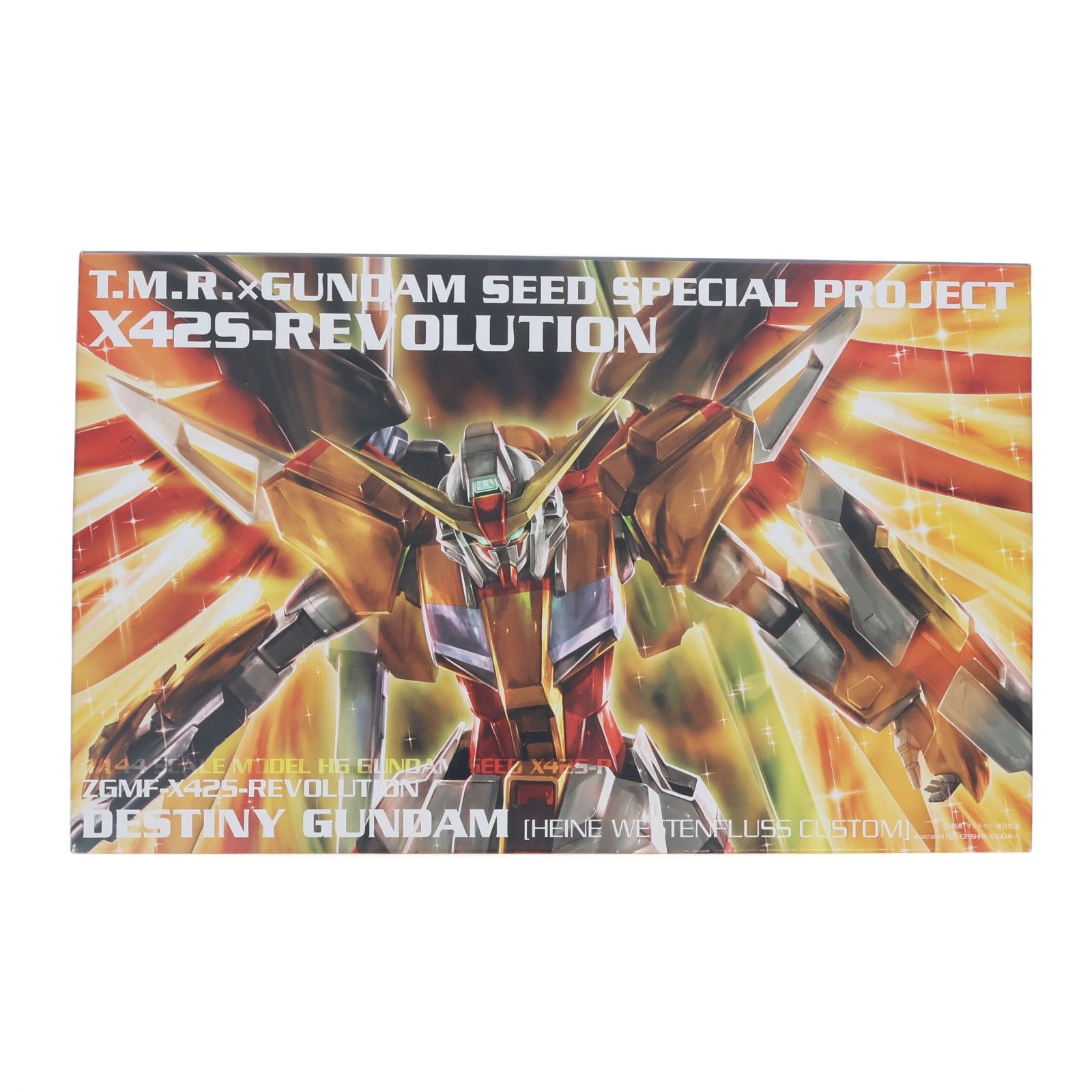 プラモデル単品) HG 1/144 ハイネ専用デスティニーガンダム CD X42S