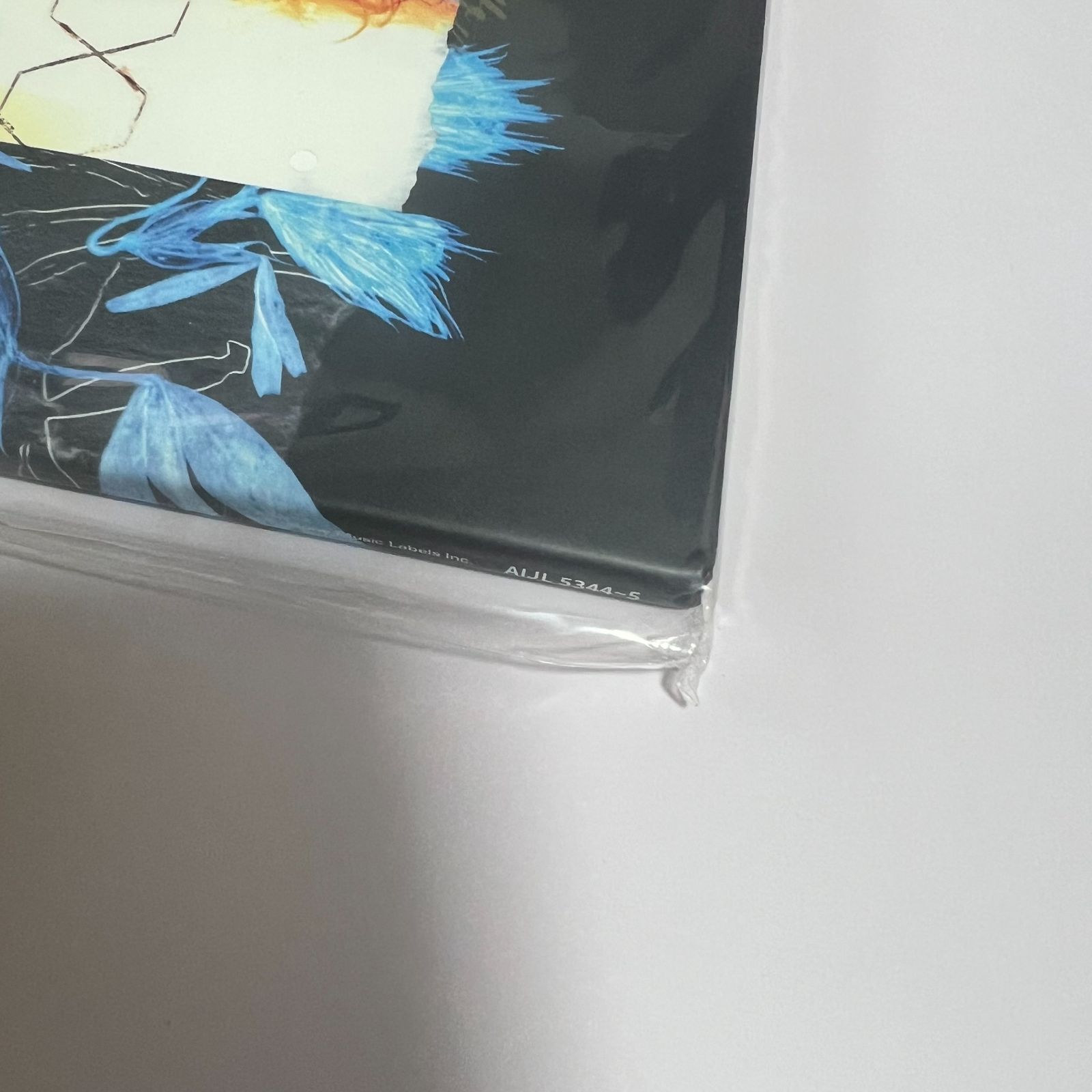 TK from 凛として時雨 brain films vinyl edition レコード アナログ