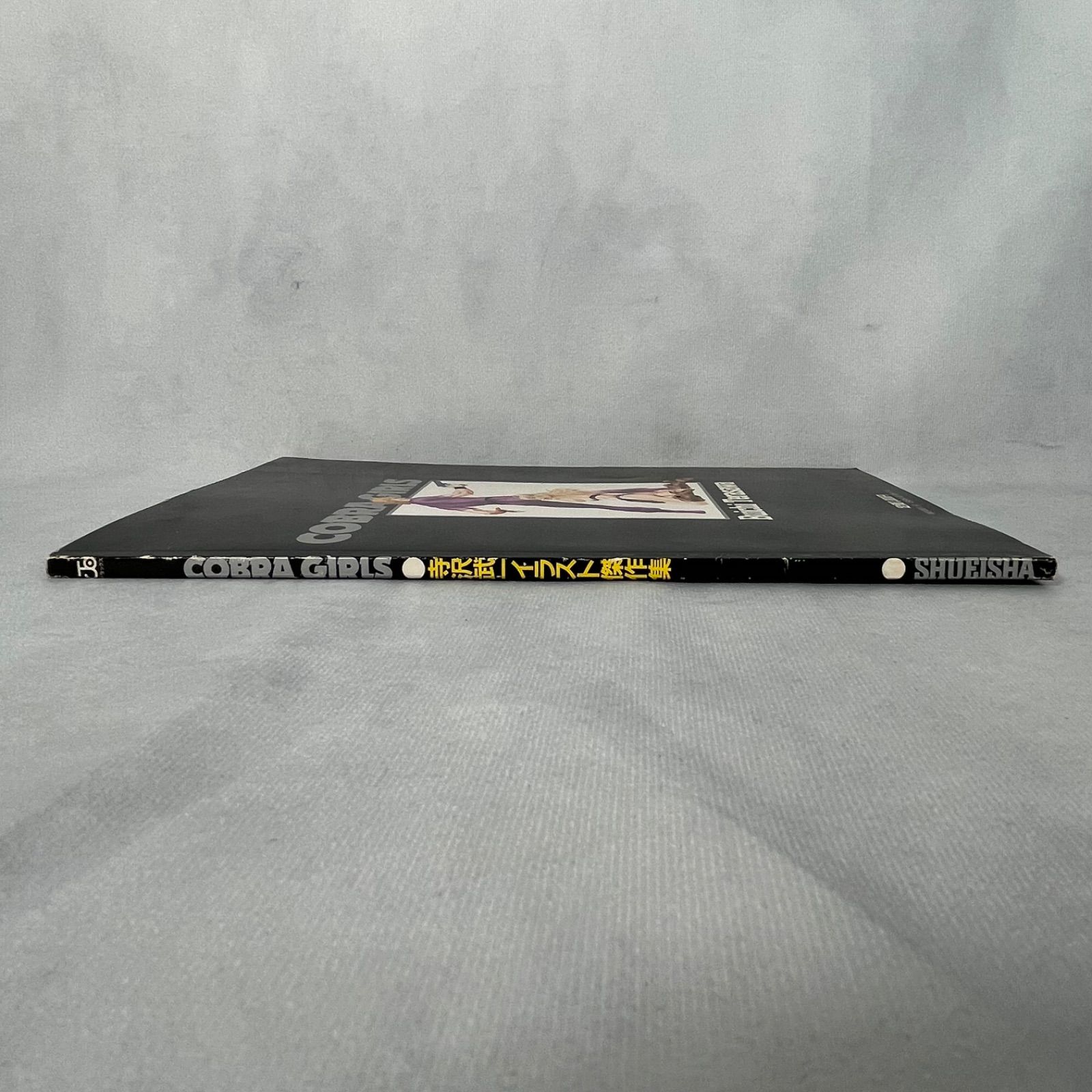 管2602-280】集英社 COBRA GIRLS 寺沢武一イラスト傑作集 ジャンプ