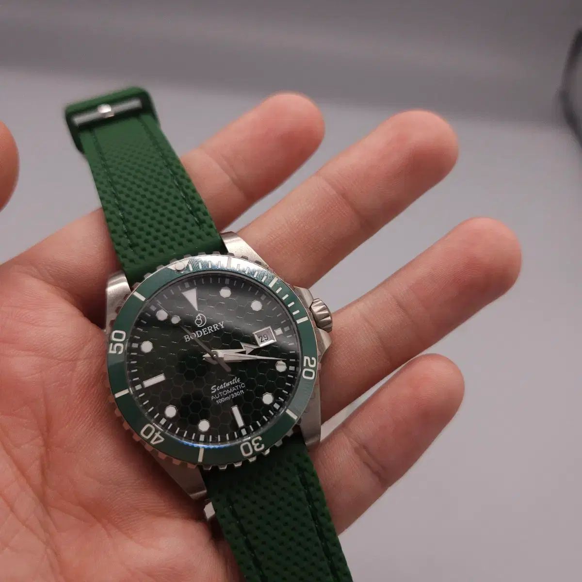 ボーダーLEE氏タートルダイバー時計