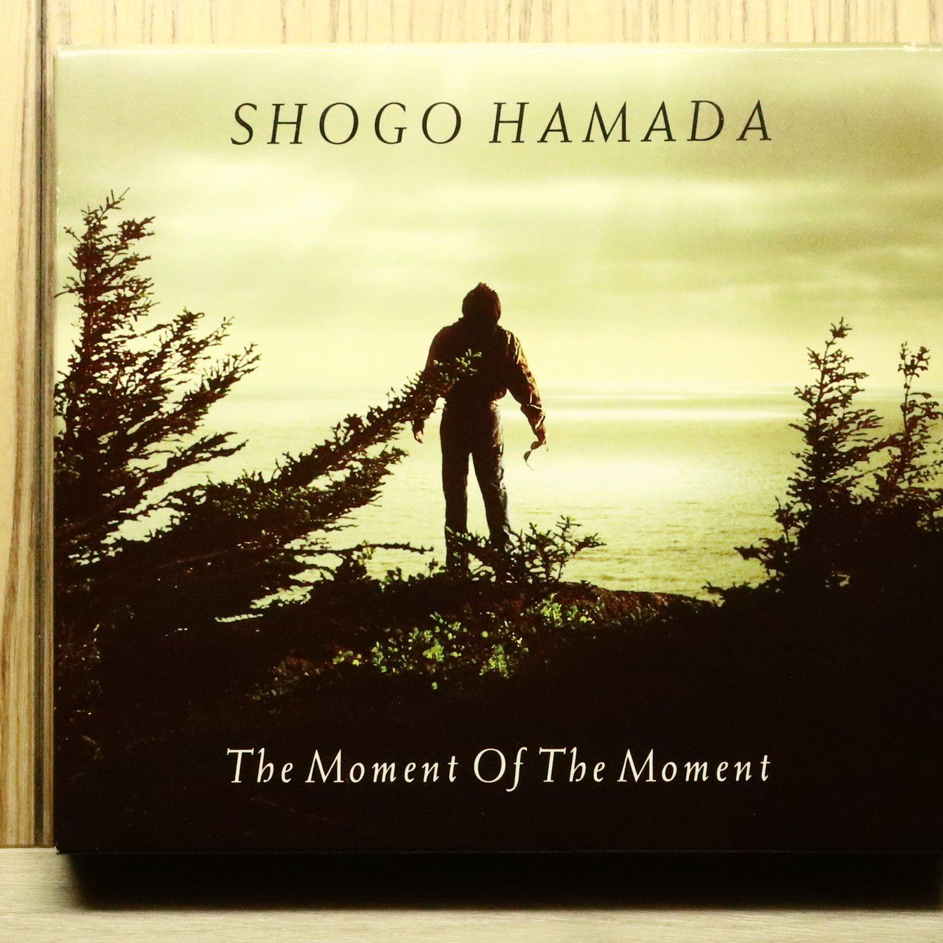 国内盤CD☆浜田 省吾/Shogo Hamada□ その永遠の一秒に～ザ