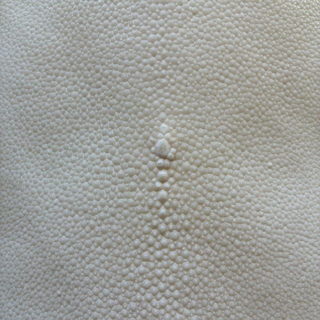 刀剣用 鮫皮 エイ革 10-7 - メルカリ