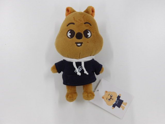 Stray Kids HAN SKZOO SKZ'S MAGIC SCHOOL PLUSH Mini Ver. ぬいぐるみ