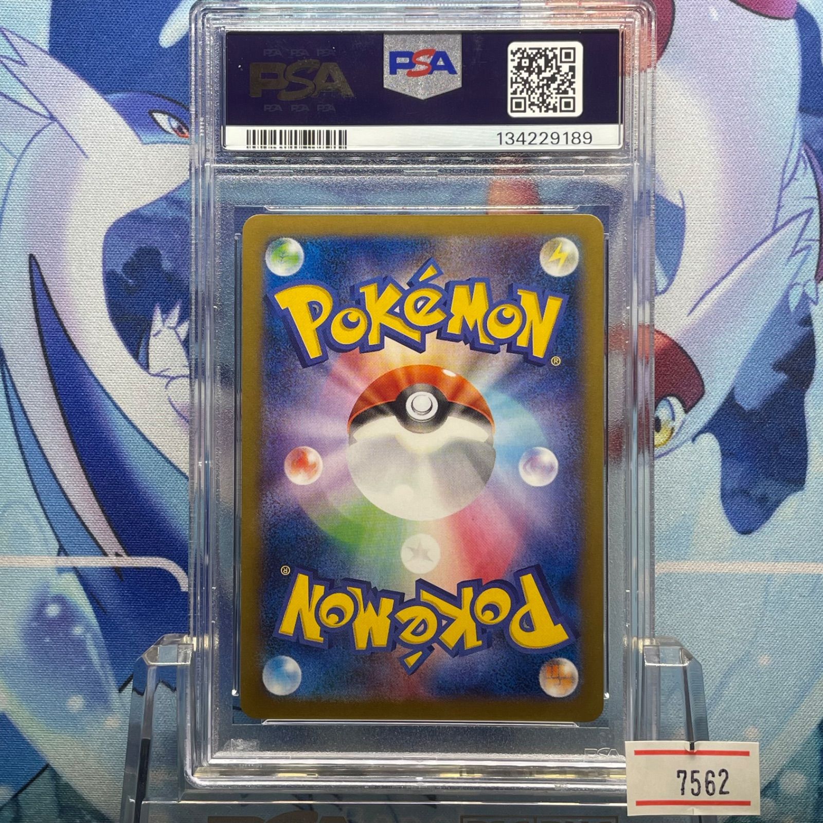 PSA10 MゲンガーEX 1ED RR XY ファントムゲート 034 2014 A-7562