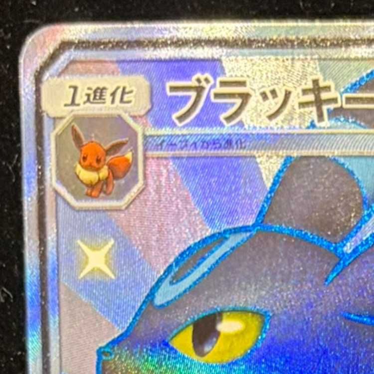 ブラッキーGX SSR 229/150 1枚 - メルカリ